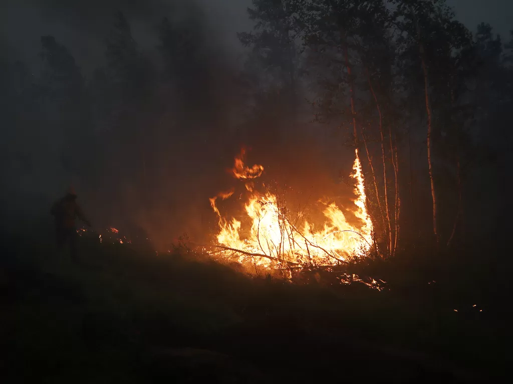 Kebakaran hutan di Rusia. (REUTERS/Roman Kutukov TPX)