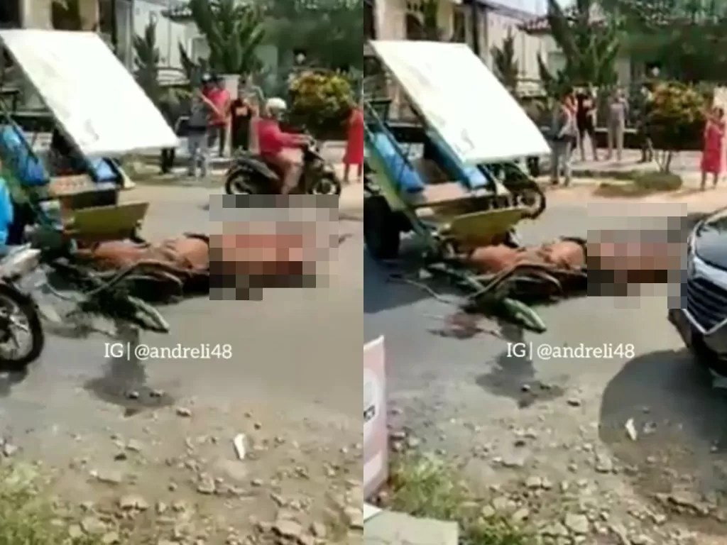 Kuda penarik delman tewas di tempat udai ditabrak pemotor di Kendal (Instagram/andreli48)