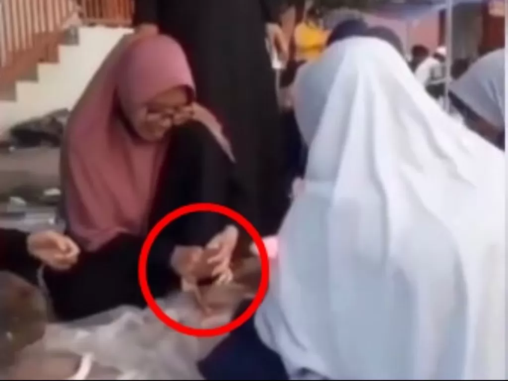Wanita genggam alat kelamin hewan kurban (Instagram @/video_medsos)