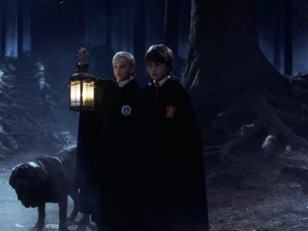 Hutan terlarang dalam Harry Potter. (photo/Dok. Warner Bros)