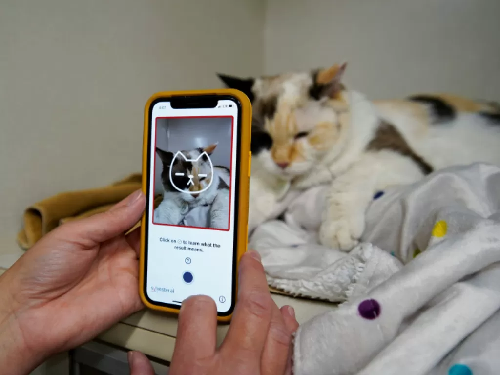 Aplikasi Tably yang bisa  membaca ekspresi kucing dan memonitor kesehatan kucing (Reuters)