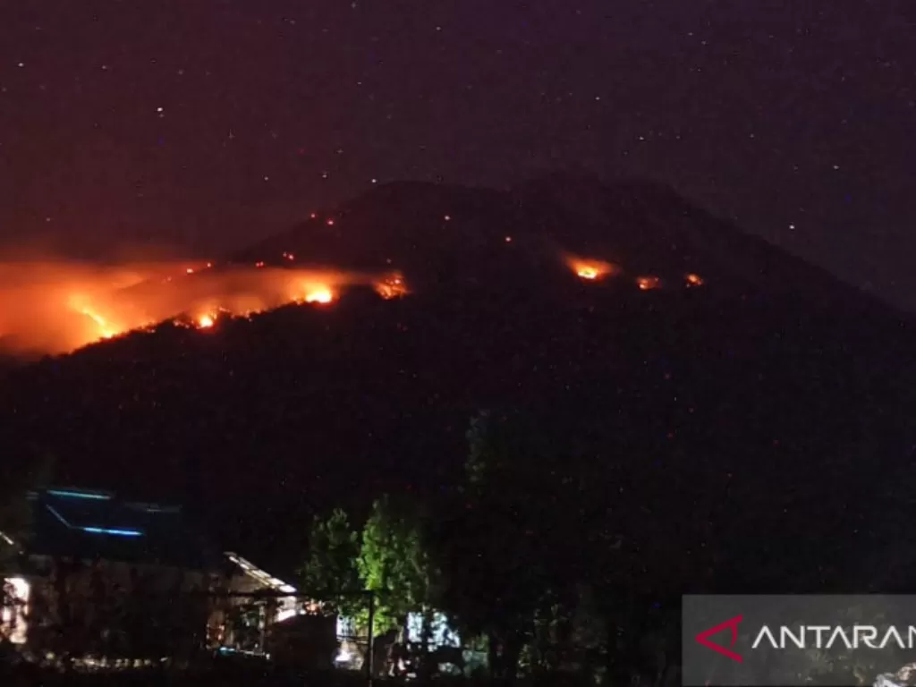 Kebakaran hutan dan lahan terjadi di lereng Gunung Ile Lewotolok, Kabupaten Lembata, Provinsi Nusa Tenggara Timur, Rabu (28/7/2021). (ANTARA/HO-BNPB)