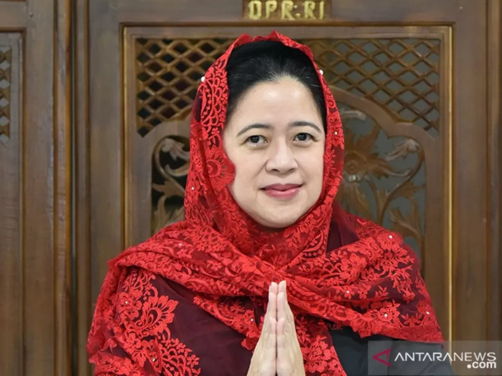 Ketua DPR RI Puan Maharani. (ANTARA/HO-DPR RI/aa)