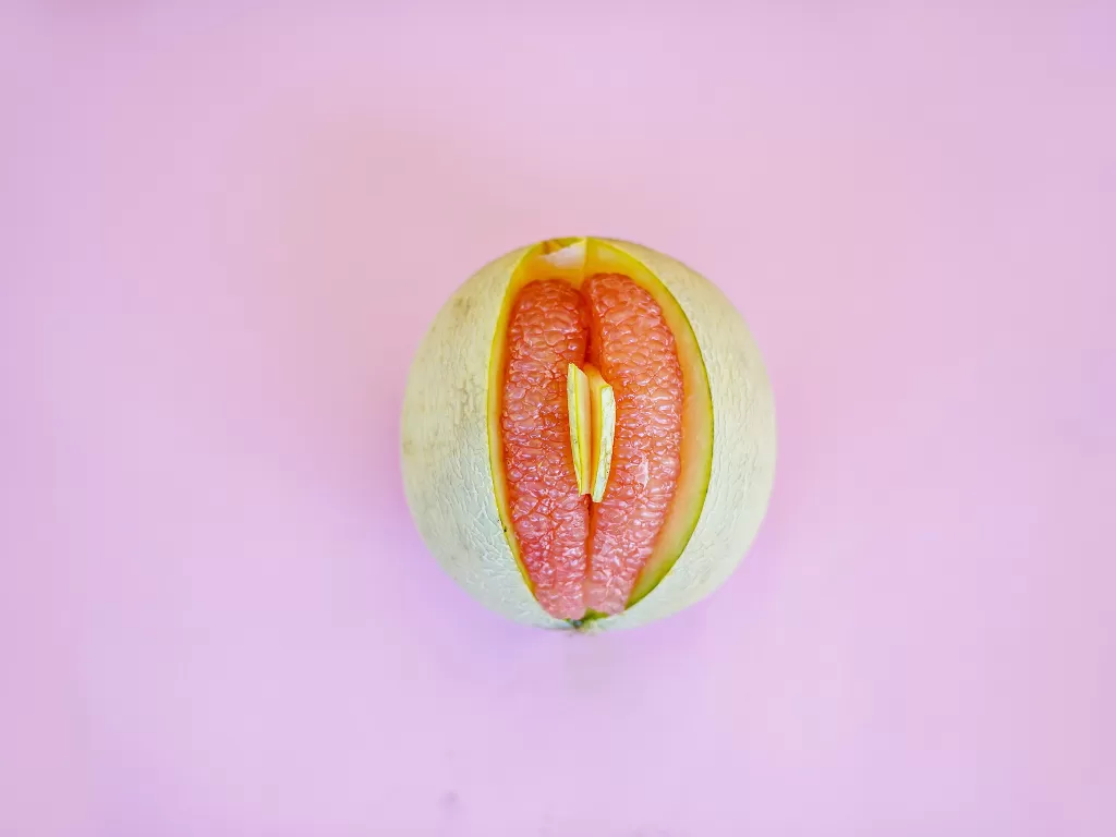 Ilustrasi Vagina (Foto oleh Dainis Graveris dari Pexels)