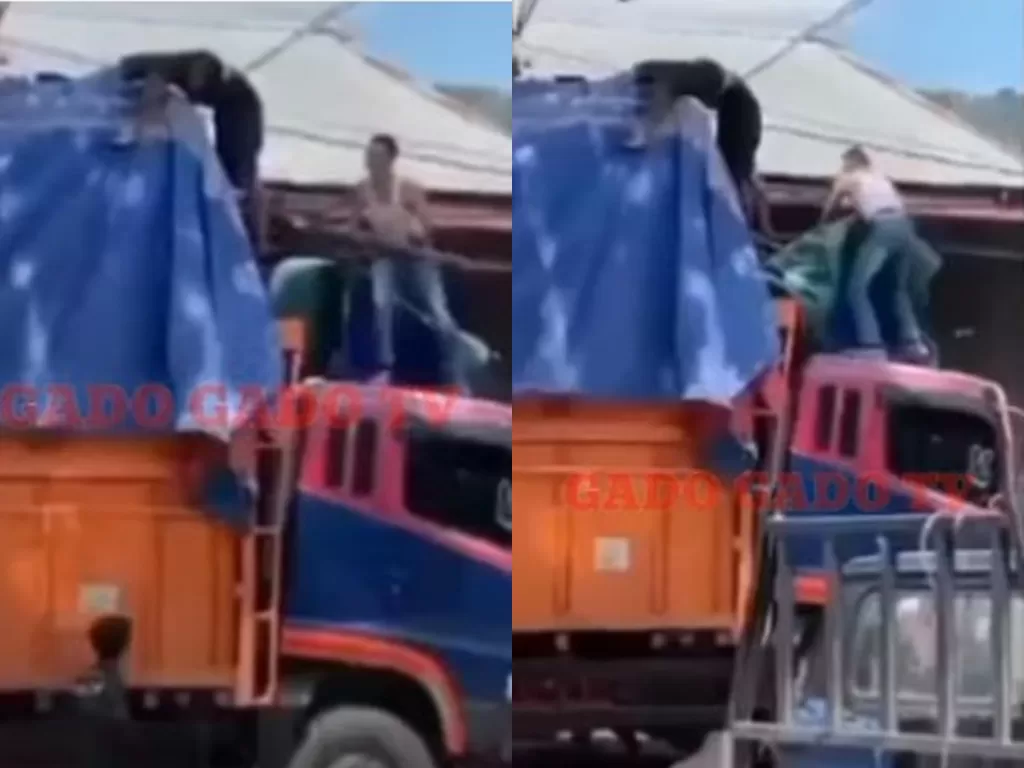 Kernet truk tewas kesetrum saat perbaiki terpal di atas truk (YouTube/Gado Gado TV) 