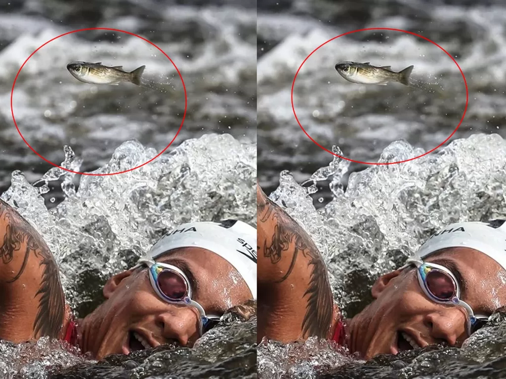 Seekor ikan kecil tertangkap kamera saat seorang fotografer merekam momen atlet bertanding renang maraton 10 km di Olimpiade Tokyo 2020. (Instagram/jonneroriz)