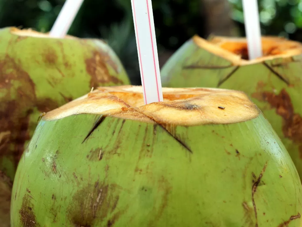 Manfaat air kelapa muda bagi kesehatan (photo/pixabay/Gadini)