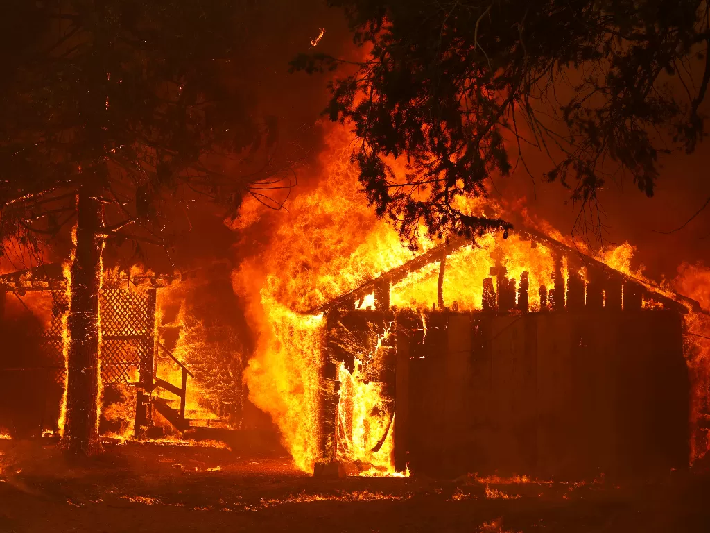 Kebakaran hutan di California. (REUTERS/Fred Greaves)