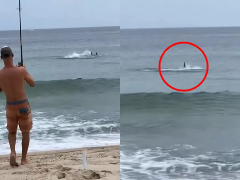 Detik-detik pria memancing seekor hiu putih. (Photo/Instagram/@mattkp_snacks)
