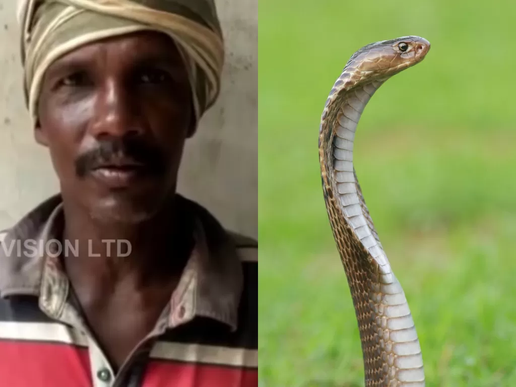 Pria ini menggigit ular yang menggigitnya. (Photo/YouTube/Ilustrasi/Unsplash)