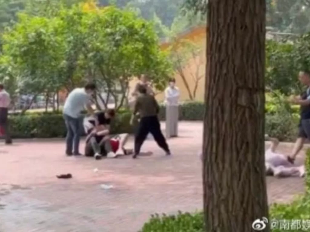 Momen pengunjung binatang bertengkar. (weibo)