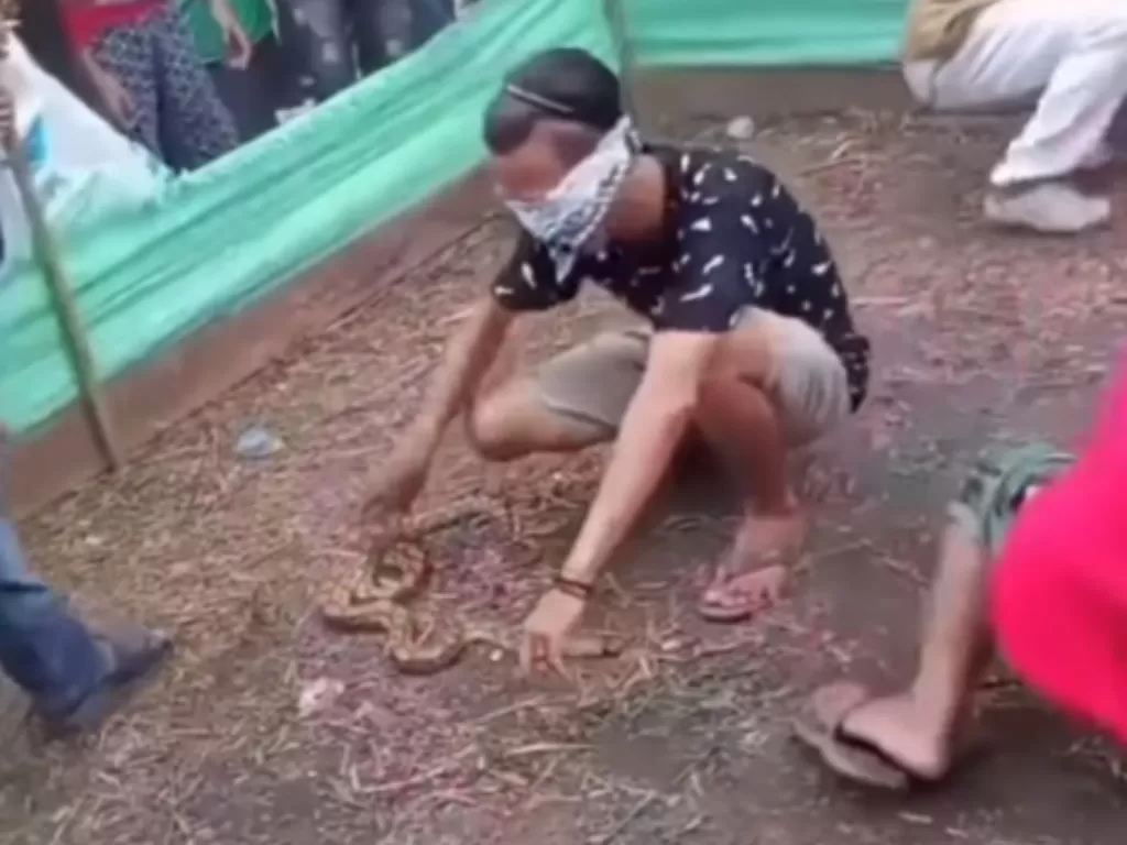 Warga lomba tangkap ular (Instagram/@manaberita)