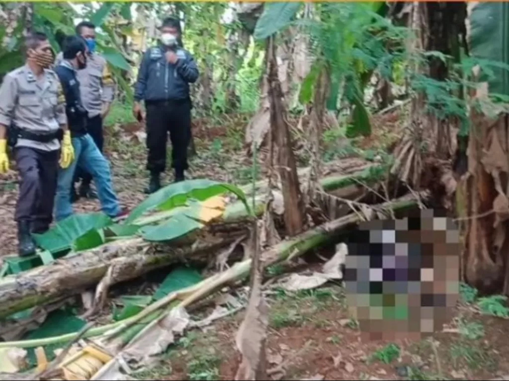 Mayat pria sudah membusuk ditemukan di kebun pisang Cisauk (Istimewa)