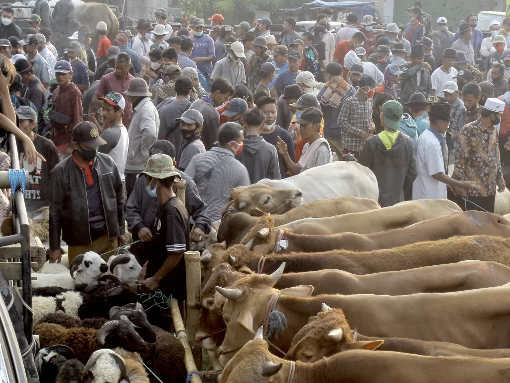 Warga kerumunan di pasar hewan. (ANTARA FOTO/Yulius Satria Wijaya)