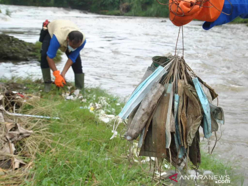 Anggota satgas naturalisasi Ciliwung Kota Bogor mencari sampah masker medis bekas pakai di bantaran sungai Ciliwung (ANTARA/Arif Firmansyah)