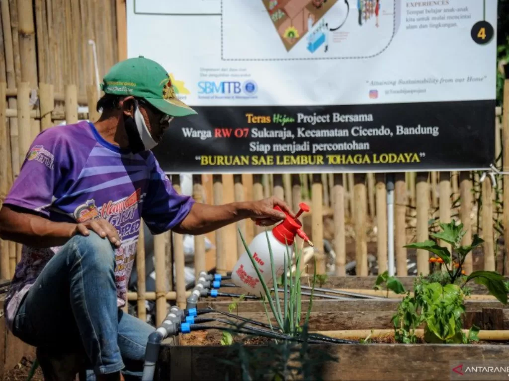 Seorang pengurus kebun merawat benih sayuran di percontohan Kebun Teras Hijau di Sukaraja, Bandung, Jawa Barat, Senin (7/9/2020). (ANTARA FOTO/Raisan Al Farisi)