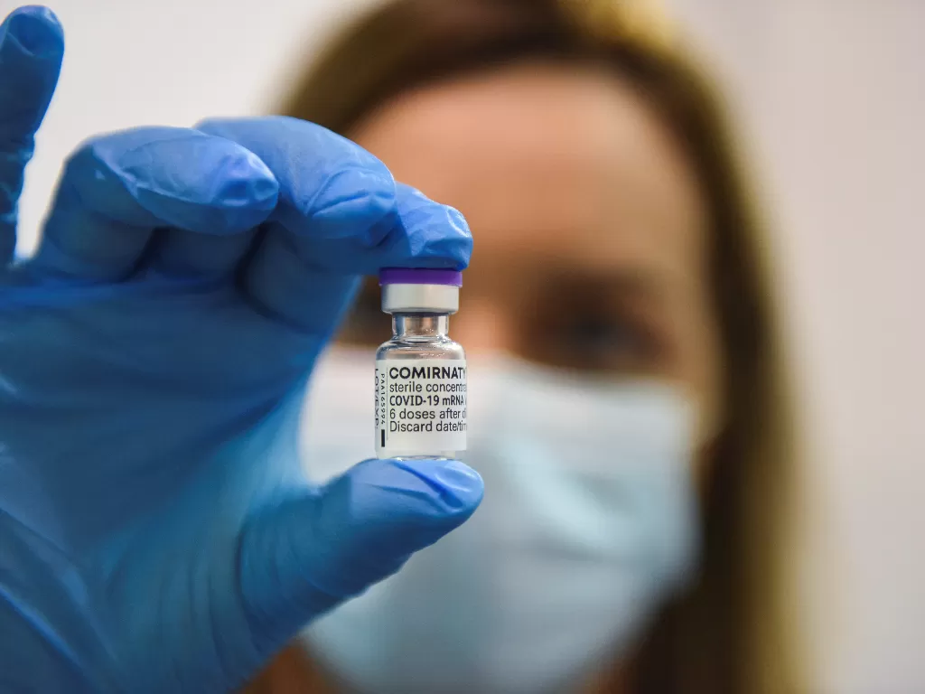 Vaksin Pfizer (REUTERS/ZORANA JEVTIC)
