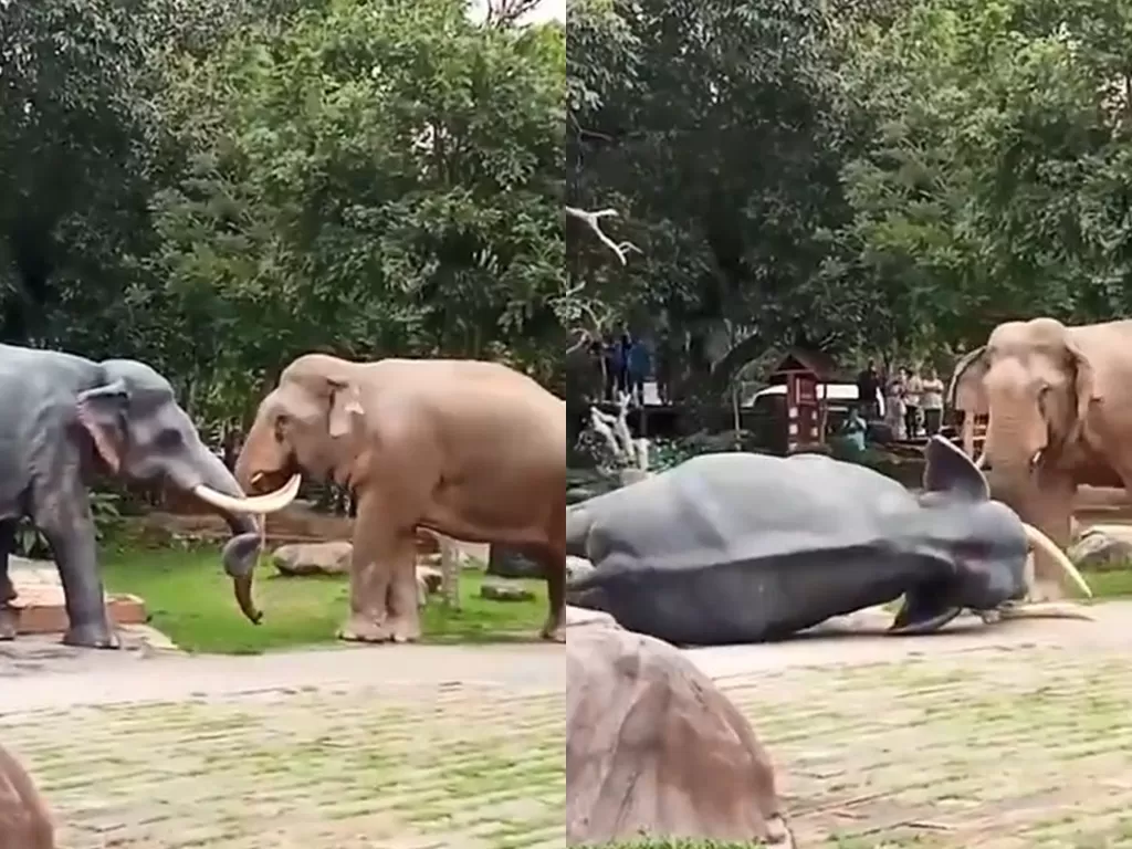 Gajah jantan ini sundul patung gajah hingga jatuh, disangka musuhnya. (Youtube/Random Videos)