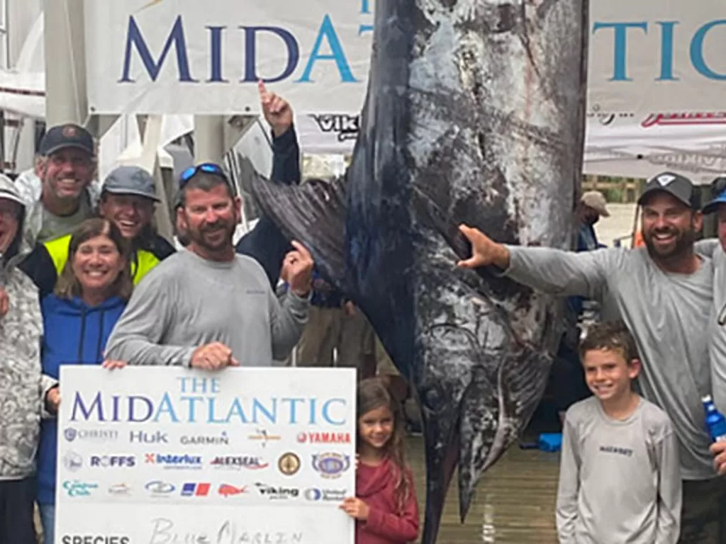 Tampilan ikan marlin biru 514 kg yang berhasil ditangkap Billy. (photo/Dok. Maryland Department of Natural Resources via Fox News)