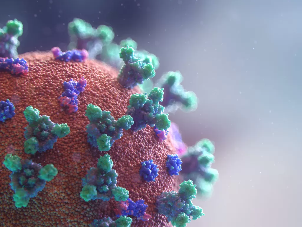 Ilustrasi virus. (Unsplash/Fusion Medical Animation)