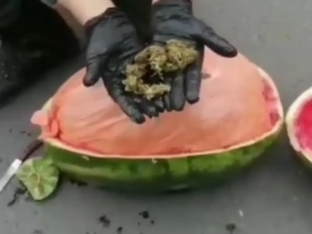 Ganja yang berada di dalam semangka. (Photo/Reddit)
