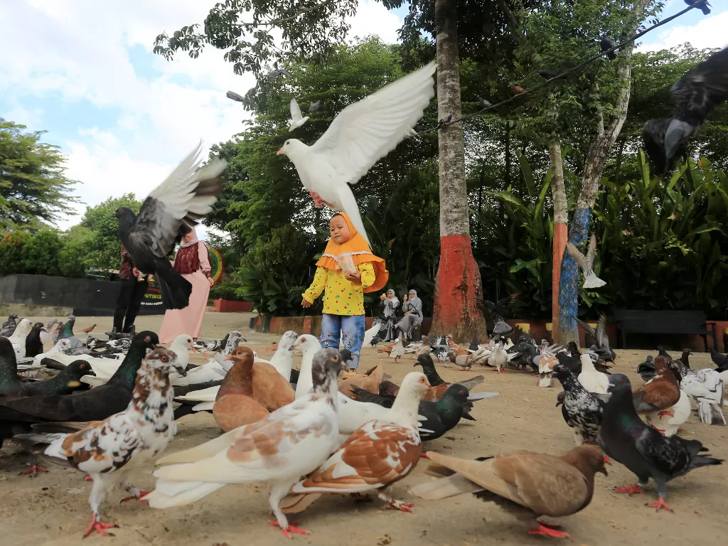 Sejumlah pengunjung memberi makan burung merpati (ANTARA FOTO/Syifa Yulinnas)
