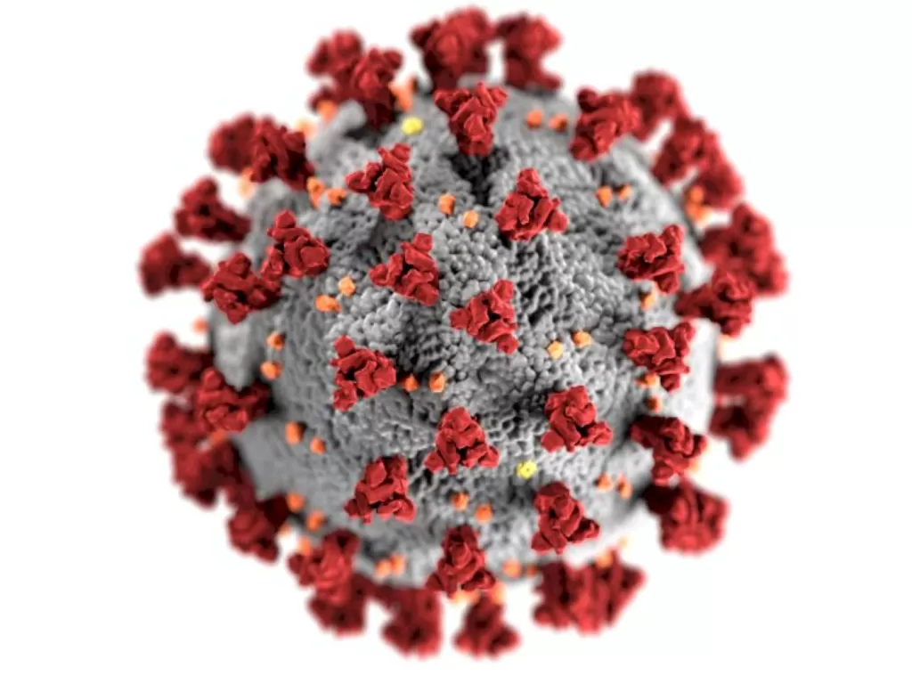 Ilustrasi virus corona. (Pexels/CDC)