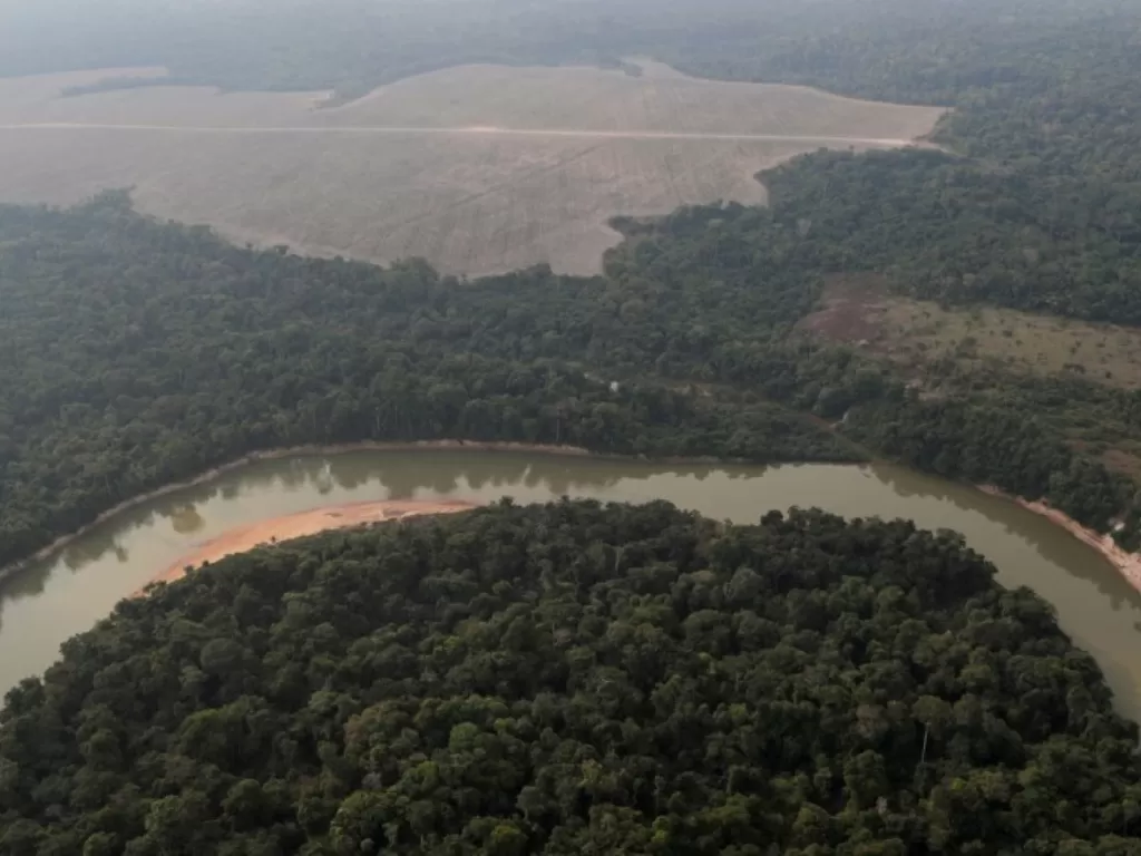 Hutan Amazon. (photo/Dok. REUTERS via Asia One)