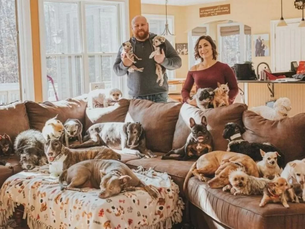 Pasangan yang mengadopsi lebih dari 600 anjing. (Chris Hughes)