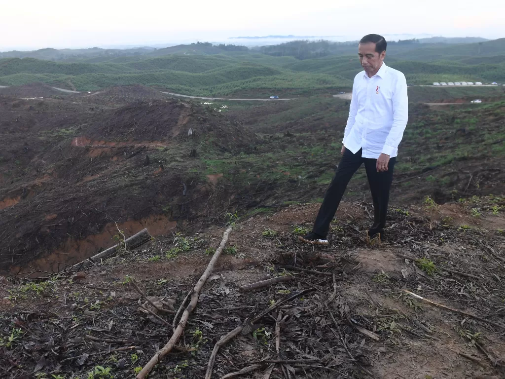 Presiden Jokowi meninjau lokasi pembangunan Ibu Kota baru. (photo/Antara)