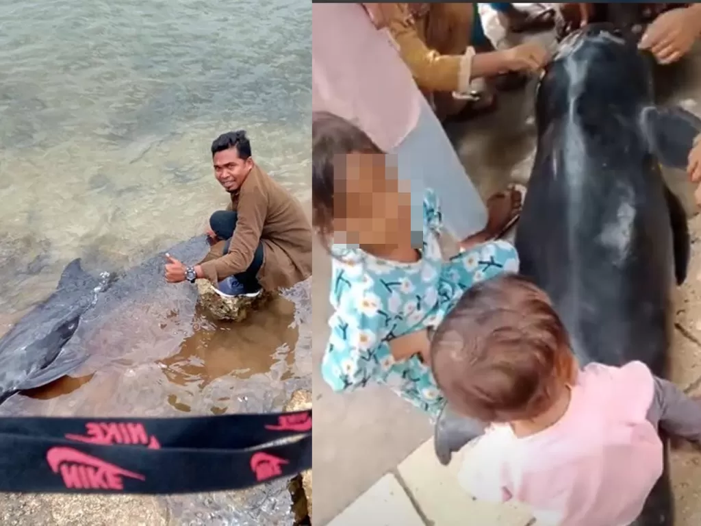 Paus terdampar di pantai Bima (Instagram/christian_joshuapale)