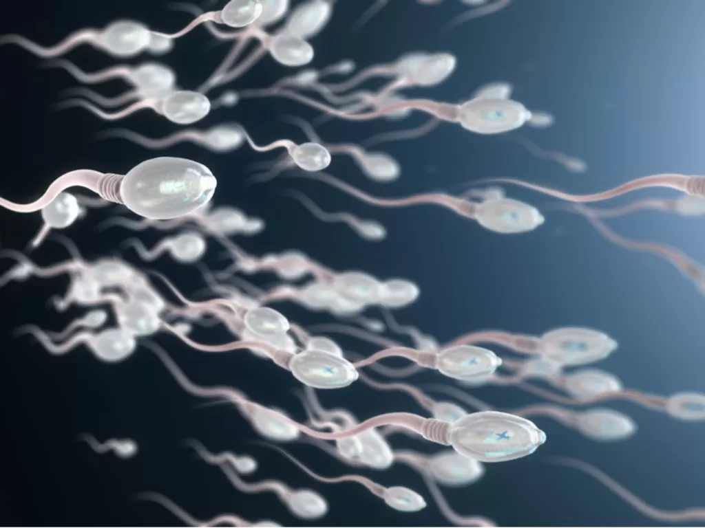 Ilustrasi sperma (medicaldevice-network)