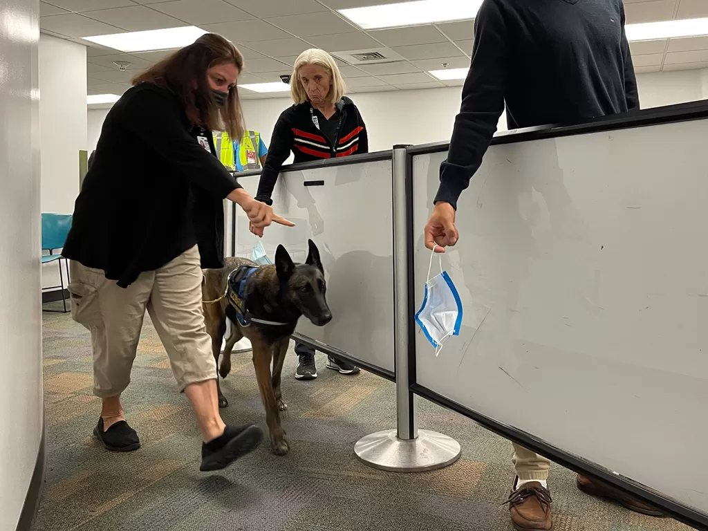 Anjing yang mendeteksi COVID-19. (photo/Dok. Courtesy of Miami International Airport)
