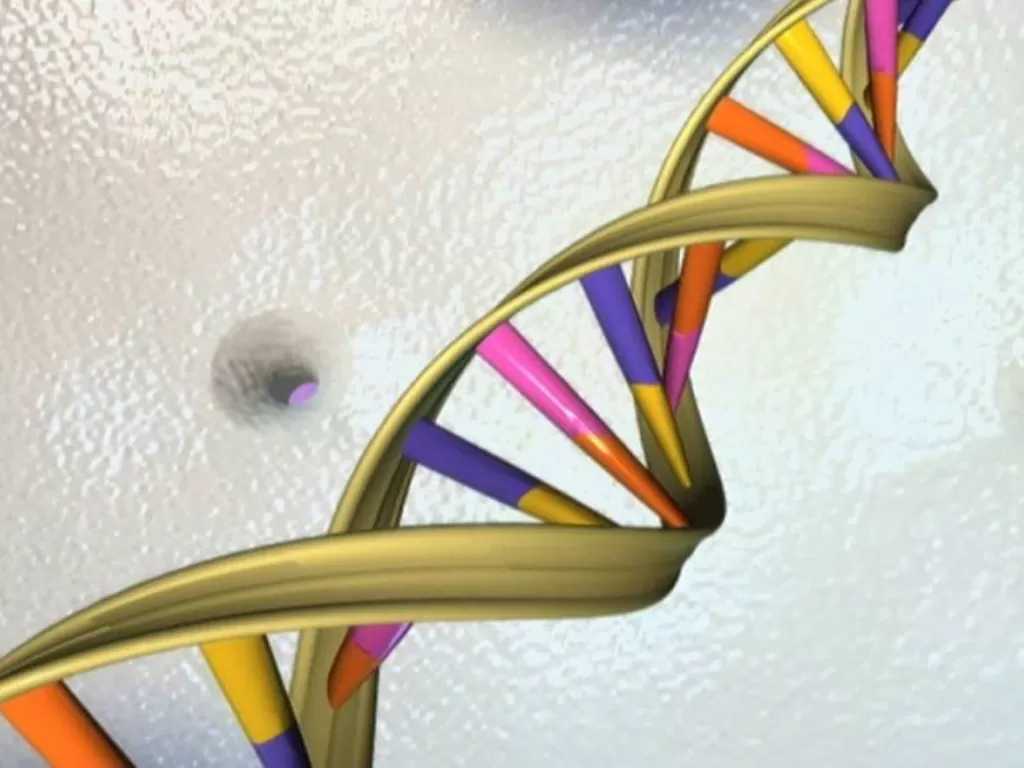 Heliks ganda DNA terlihat dalam ilustrasi seniman tak bertanggal yang dirilis oleh National Human Genome Research Institute kepada Reuters pada 15 Mei 2012. (photo/Dok. Reuters/National Human Genome Research Institute/Handout)
