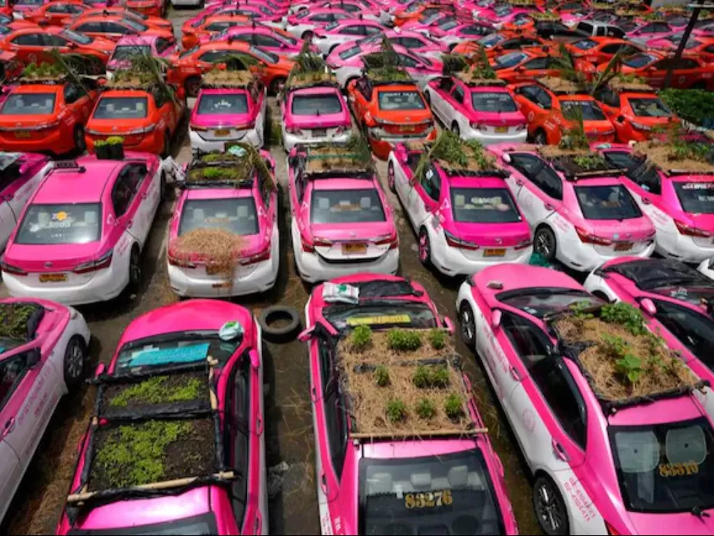 Taksi di Thailand berubah menjadi kebun. (AP)