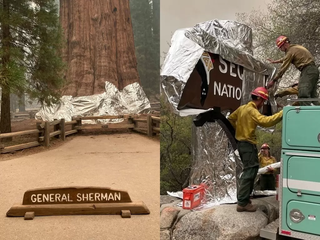 Kebakaran hutan di Taman Nasional Sequoia di California. (Photo/Reuters)