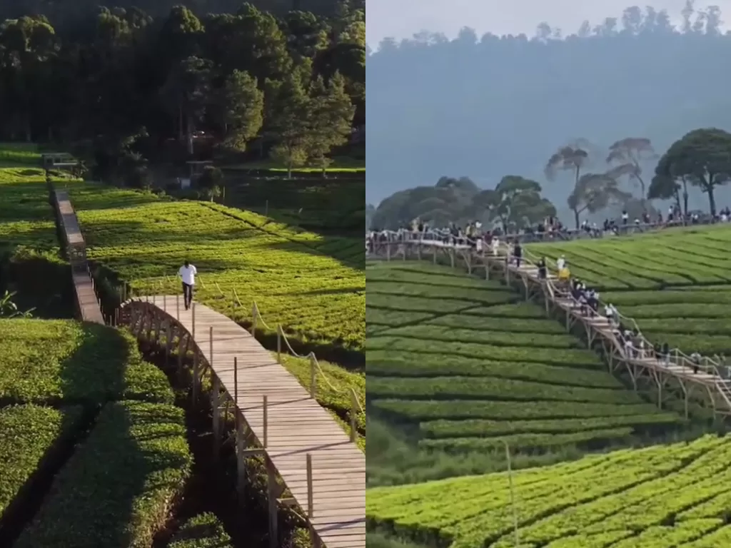Objek wisata Nuansa Riung Gunung yang viral (Tiktok/deganduls/Instagram/infobandungkota)