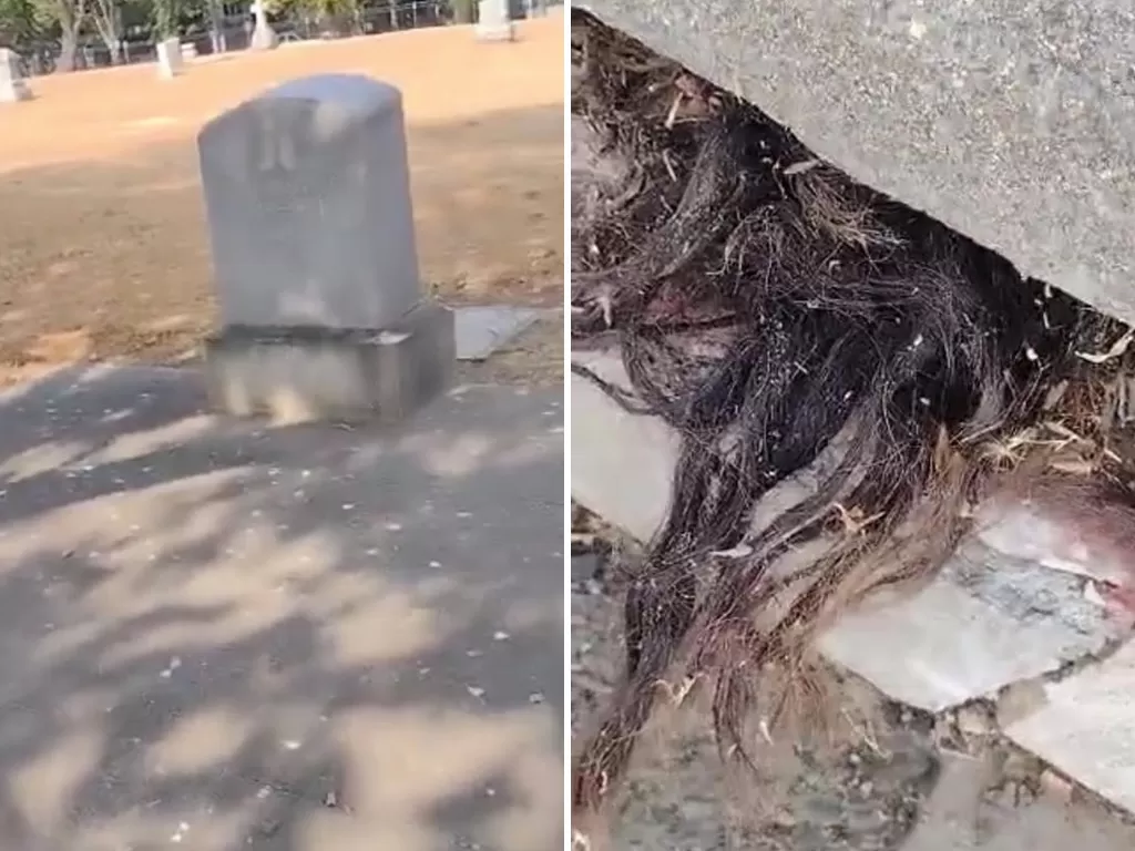 Pria California dikejutkan dan ditolak oleh kuburan berusia 100 tahun dengan rambut manusia mencuat darinya. (photo/TikTok/@kaitlynnerbeznik)