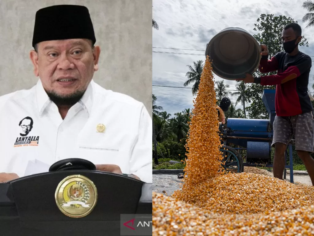 Kiri: Ketua DPD RI, La Nyalla (Antara) / Kanan: Petani jagung di Sulteng (ANTARA FOTO/Basri Marzuki)