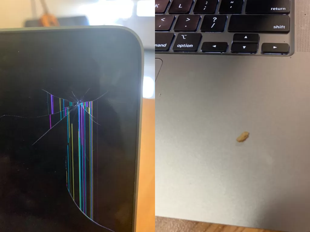 Laptop yang rusak nya karena sebutir beras merah. (Twitter/kaxamdays)