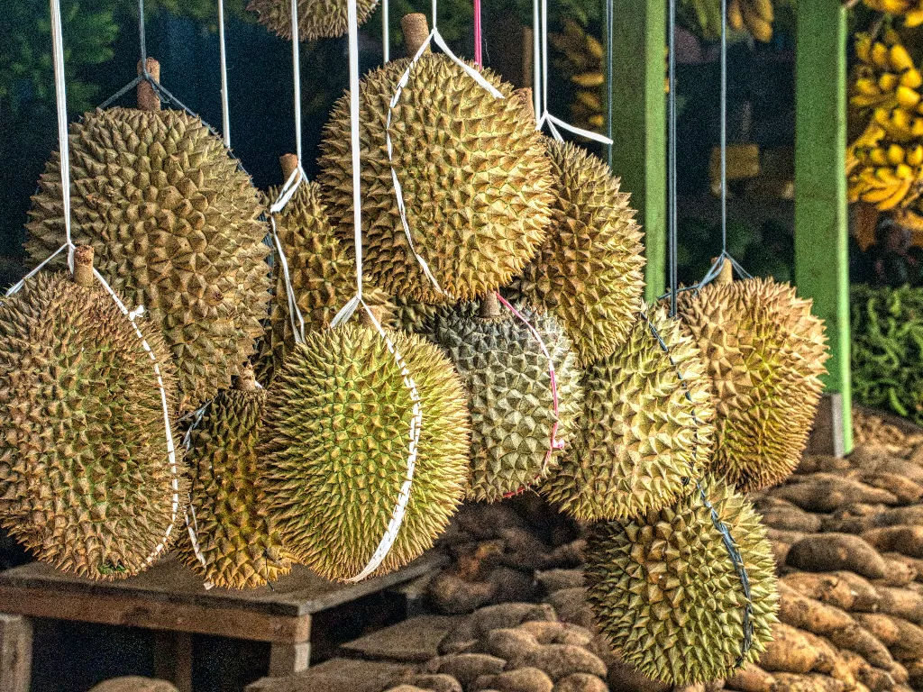 Ilustrasi buah durian. (photo/Pexels/Tom Fisk/ilustrasi)