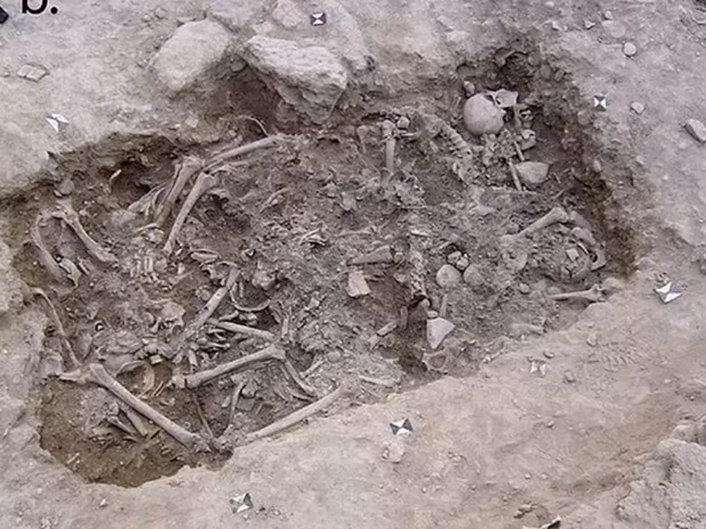 Penemuan tulang belulang tentara salib di Kastil Sidon. (photo/Dok. Richard N.R. Mikulsi, Holger Schutkowski,  Martin J. Smith, Claude Doumet-Serhal, Piers D. Mitchell)