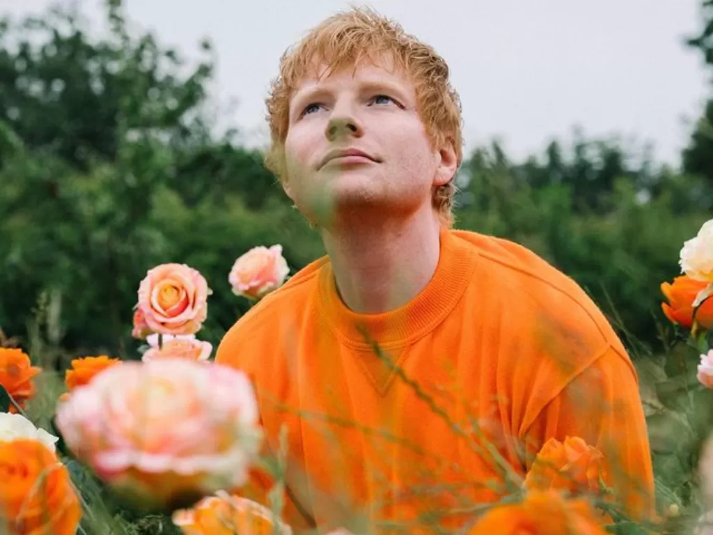 Ed Sheeran. (Instagram/@teddysphotos)