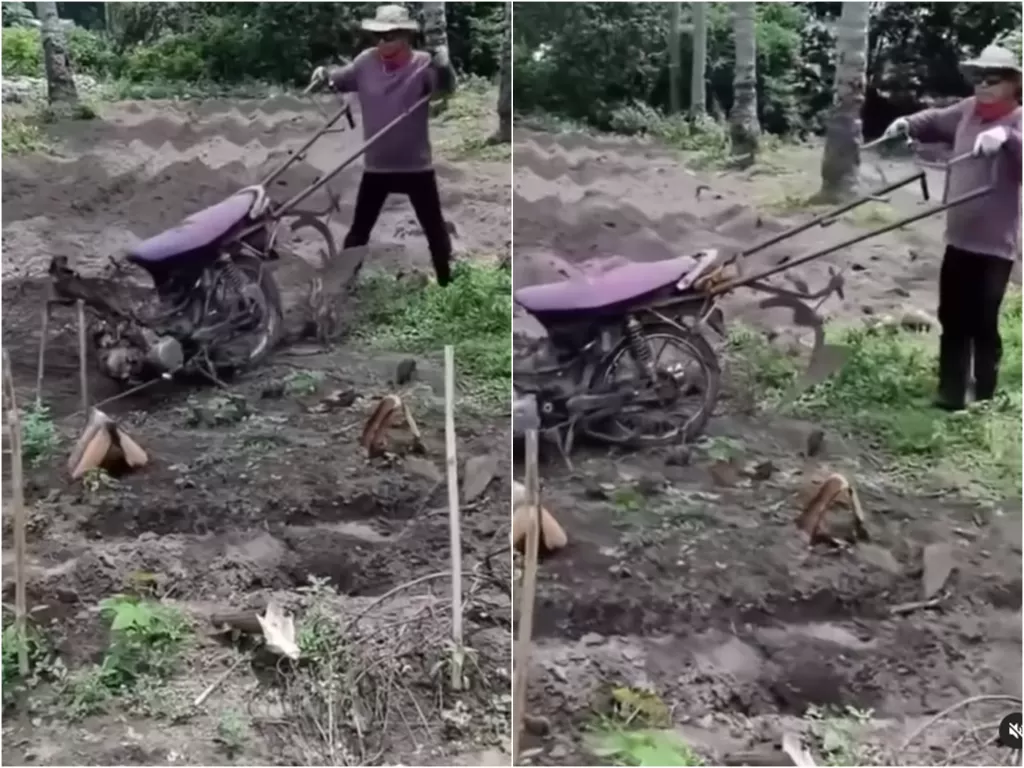  Cuplikan video petani memodifikasi sepeda motor bekas jadi alat pembajak sawah. (photo/Instagram)