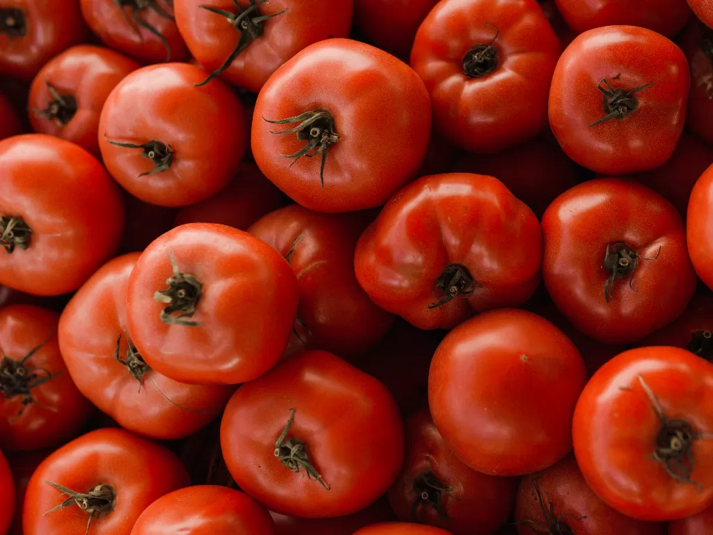 Ilustrasi tomat. (Pexels/Arina Krasnikova)