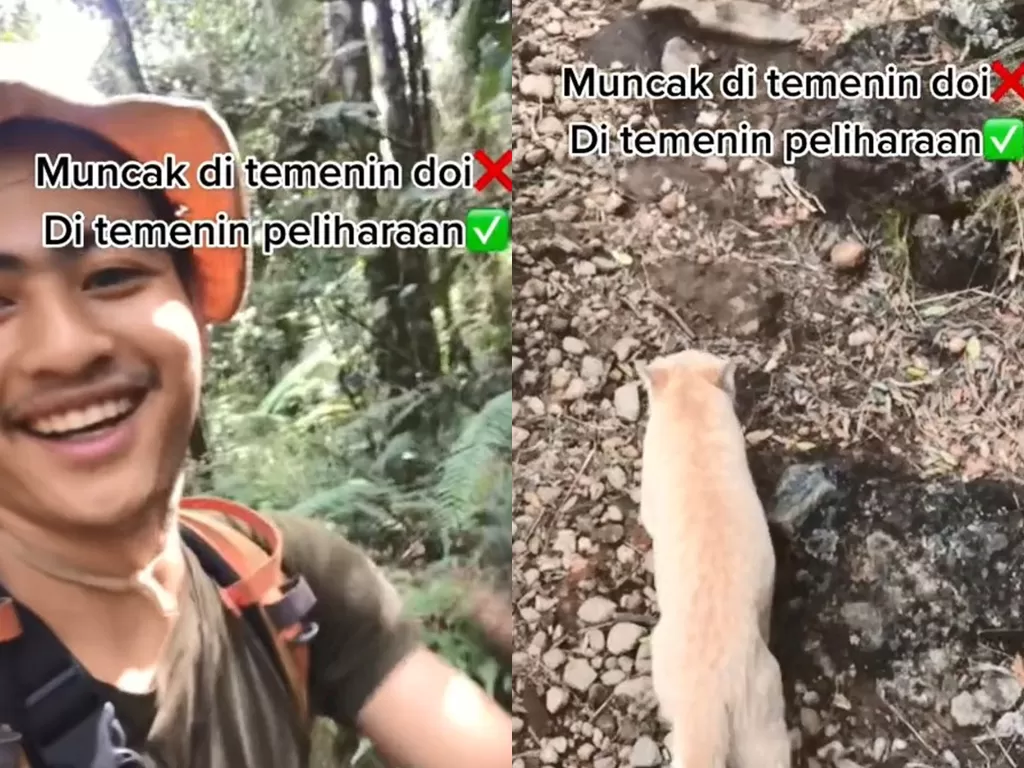 Pria yang bawa kucingnya mendaki ke gunung. (TikTok/al.baraq)