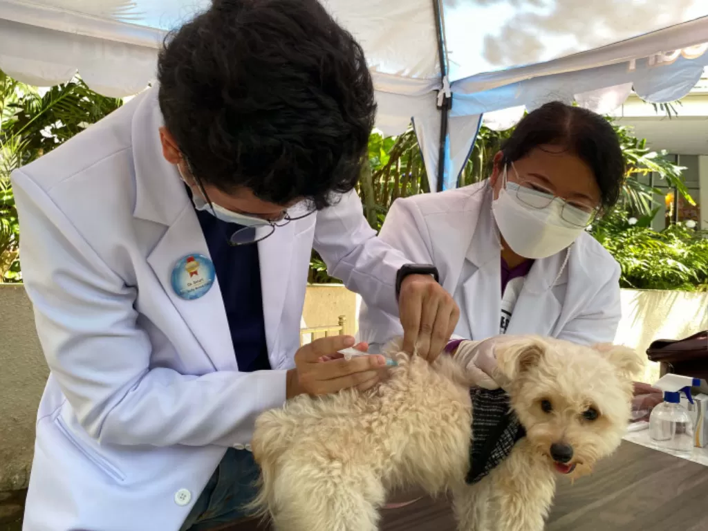 Proses vaksinasi rabies untuk anjing yang digelar SmartHeart Indonesia menggandeng Dinas Ketahanan Pangan, Kelautan dan Pertanian Kota Jakarta Barat, 25 September 2021. (ANTARA/HO)