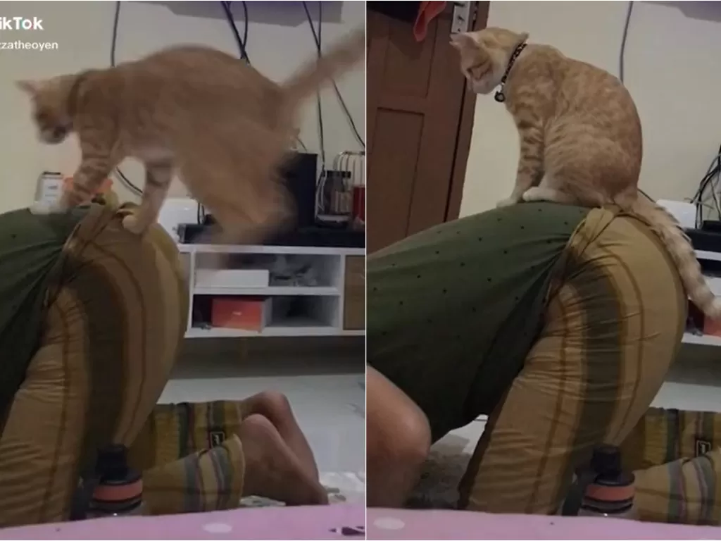 Kucing duduki pemiliknya yang sedang sujud. (TikTok/@muezzatheoyen)