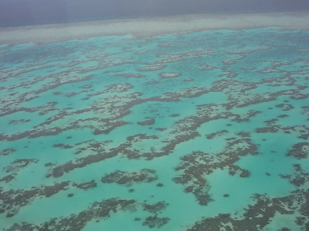 Great Barrier Reef di Australia. (photo/Dok. Wikipedia)
