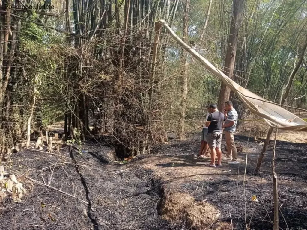 Seorang nenek tewas terpanggang saat bersihkan ladang bambu di Ponorogo (Instagram/ponorogo.update)